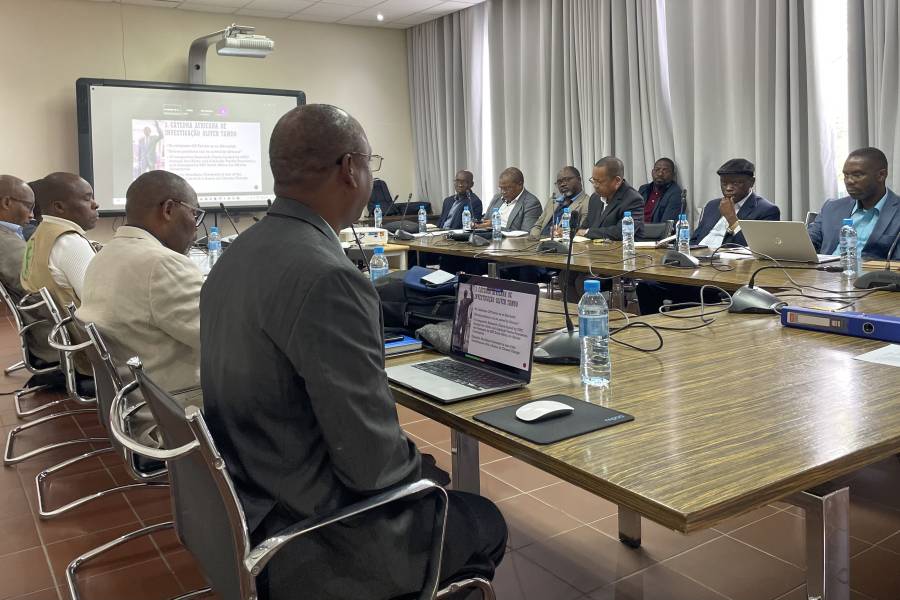 Reunião do Comité de Aconselhamento da Cátedra Oliver Tambo